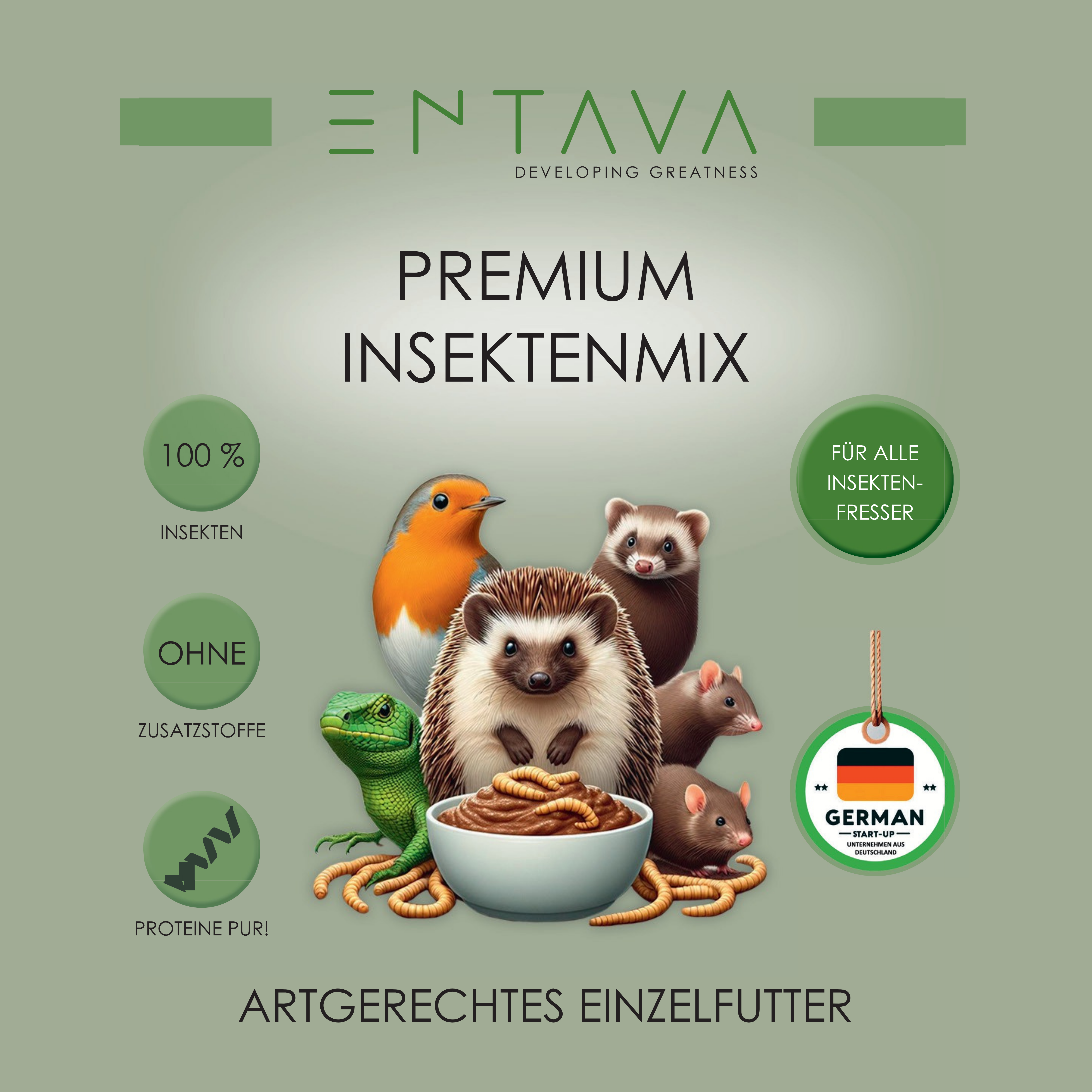 Premium Insektenmix getrocknet, 10L für Insektenfresser MHD 08/25